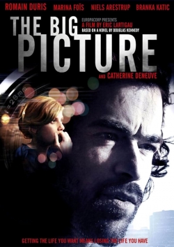 Watch Free The Big Picture Movies Full HD Online