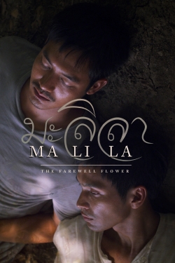 Watch Free Malila: The Farewell Flower Movies Full HD Online