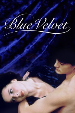 Watch Free Blue Velvet Movies Full HD Online