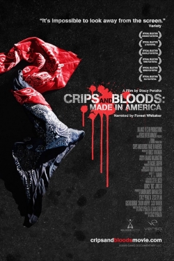 Watch Free Crips and Bloods: Made in America Movies Full HD Online