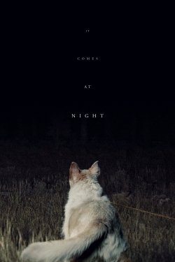 Watch Free It Comes at Night Movies Full HD Online