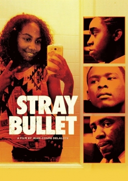 Watch Free Stray Bullet Movies Full HD Online