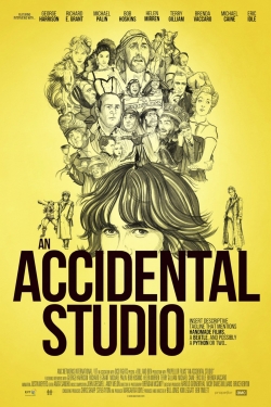 Watch Free An Accidental Studio Movies Full HD Online