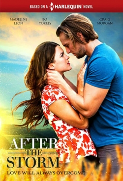 Watch Free After the Storm Movies Full HD Online