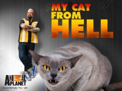 Watch Free My Cat from Hell Movies Full HD Online