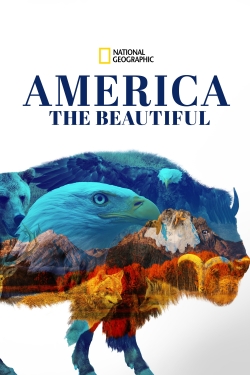 Watch Free America the Beautiful Movies Full HD Online