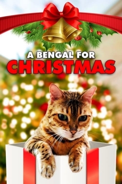 Watch Free A Bengal for Christmas Movies Full HD Online