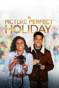 Watch Free A Picture Perfect Holiday Movies Full HD Online