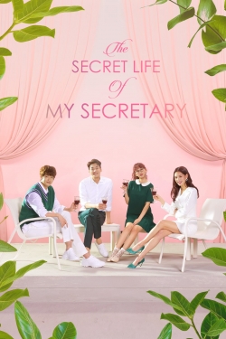 Watch Free The Secret Life of My Secretary Movies Full HD Online