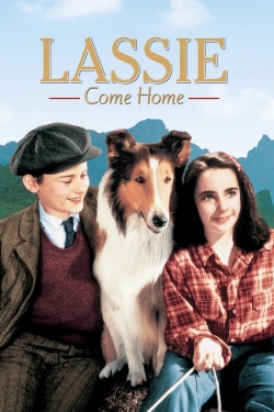 Watch Free Lassie Come Home Movies Full HD Online