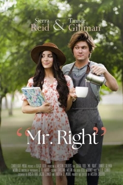 Watch Free Mr. Right Movies Full HD Online