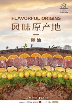 Watch Free Flavorful Origins Movies Full HD Online