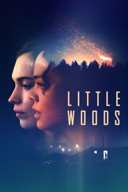 Watch Free Little Woods Movies Full HD Online