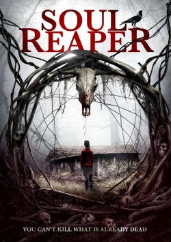 Watch Free Soul Reaper Movies Full HD Online