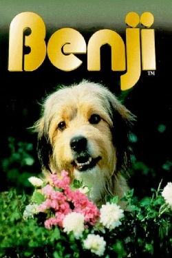 Watch Free Benji Movies Full HD Online