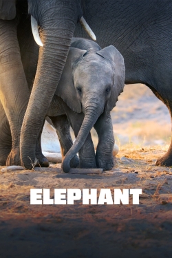 Watch Free Elephant Movies Full HD Online