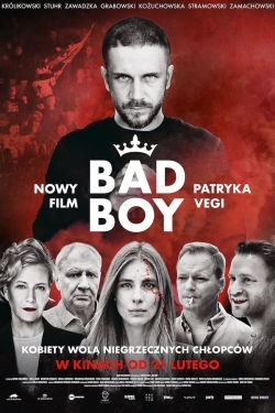 Watch Free Bad Boy Movies Full HD Online