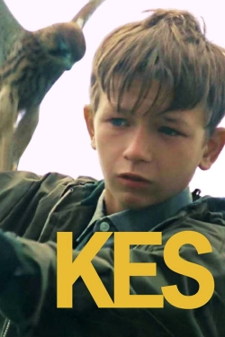 Watch Free Kes Movies Full HD Online