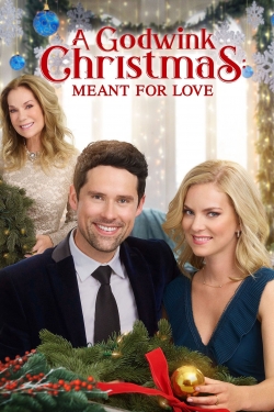 Watch Free A Godwink Christmas: Meant For Love Movies Full HD Online