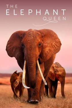 Watch Free The Elephant Queen Movies Full HD Online