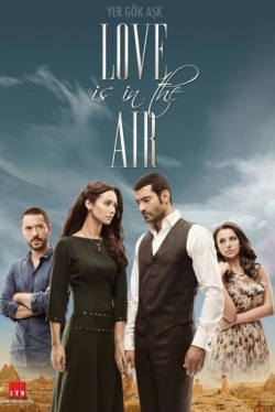 Watch Free Love Is In The Air Movies Full HD Online