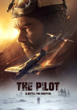 Watch Free The Pilot. A Battle for Survival Movies Full HD Online