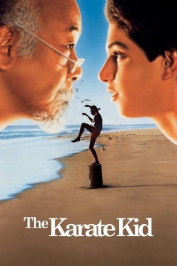 Watch Free The Karate Kid Movies Full HD Online