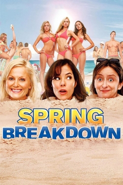 Watch Free Spring Breakdown Movies Full HD Online