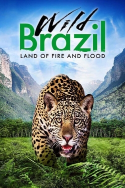 Watch Free Wild Brazil Movies Full HD Online